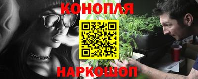 ALPHA PVP Ярославль
