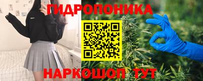 ALPHA PVP Ярославль