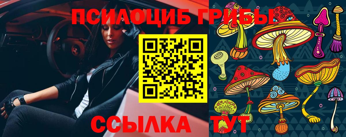 как найти закладки  Псилоцибиновые грибы GOLDEN TEACHER  Вход с VPN  Аша 