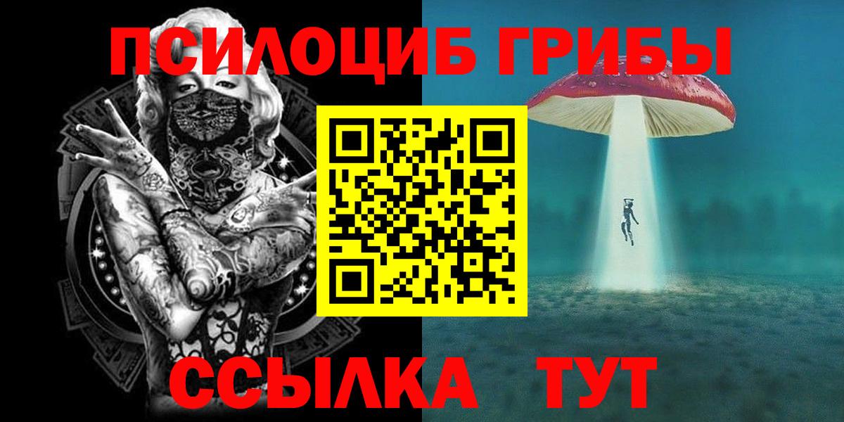 Псилоцибиновые грибы мицелий Аша